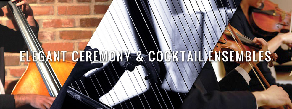 Elegant Ceremonies & Cocktail Ensembles